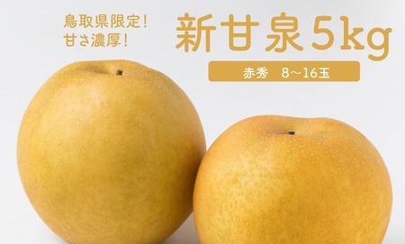 Y024 新甘泉(赤秀) 5kg