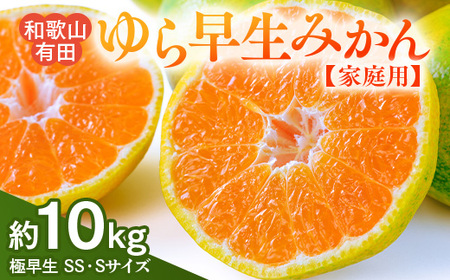 【先行予約】【ご家庭用 極早生】和歌山有田ゆら早生みかん約10kg(SS、Sサイズ)【美浜町】｜早生みかん 柑橘 フルーツ 果物 みかん