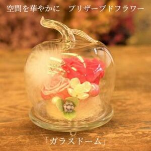 空間を華やかに　プリザーブドフラワー「ガラスドーム」 イエロー＆オレンジ系