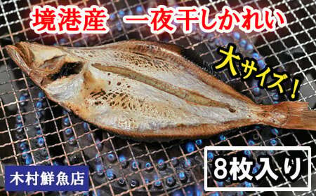 境港産一夜干しかれい（8枚）【一夜干し いちやぼし かれい カレイ エテカレイ 干物 干もの ひもの 乾物 境港 ご当地 ギフト プレゼント ご自宅用 鳥取 日吉津村】