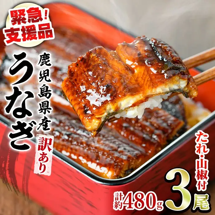 【緊急支援品】＜訳あり＞鰻の蒲焼き(無頭)(3～4尾・計約480g・タレ、山椒付) うなぎ ウナギ 鰻 国産 蒲焼 蒲焼き たれ 鹿児島 ふるさと 人気 支援【アクアおおすみ】【0134350a】