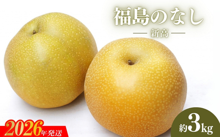 No.2189福島のなし　新高　約3kg 【2026年発送 先行予約】