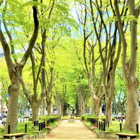 観光タクシー3時間!杜の都仙台発!瑞鳳殿・仙台城跡・大崎八幡宮を巡る「伊達政宗公満喫コース」_旅行券・チケット  体験チケット _【1389971】