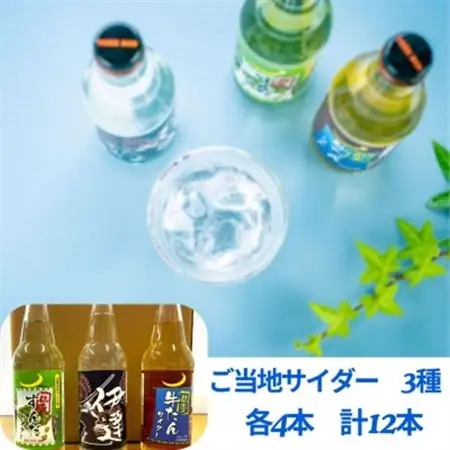 【個性派】ご当地サイダー　牛たん・ずんだ・伊達サイダー340ml計12本詰合わせセット_飲料・ドリンク 炭酸飲料 ジュース _【1394581】