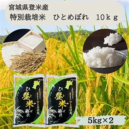 【令和7年産】宮城県登米市産　特別栽培米ひとめぼれ10kg(5kg×2)_ 精米 米 _【1397558】