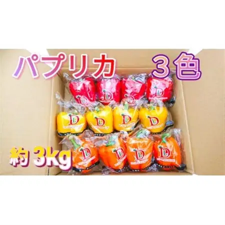 【宮城県産】パプリカ(赤・黄・橙)12玉　約3kg_野菜   _【配送不可地域：離島】【1401727】