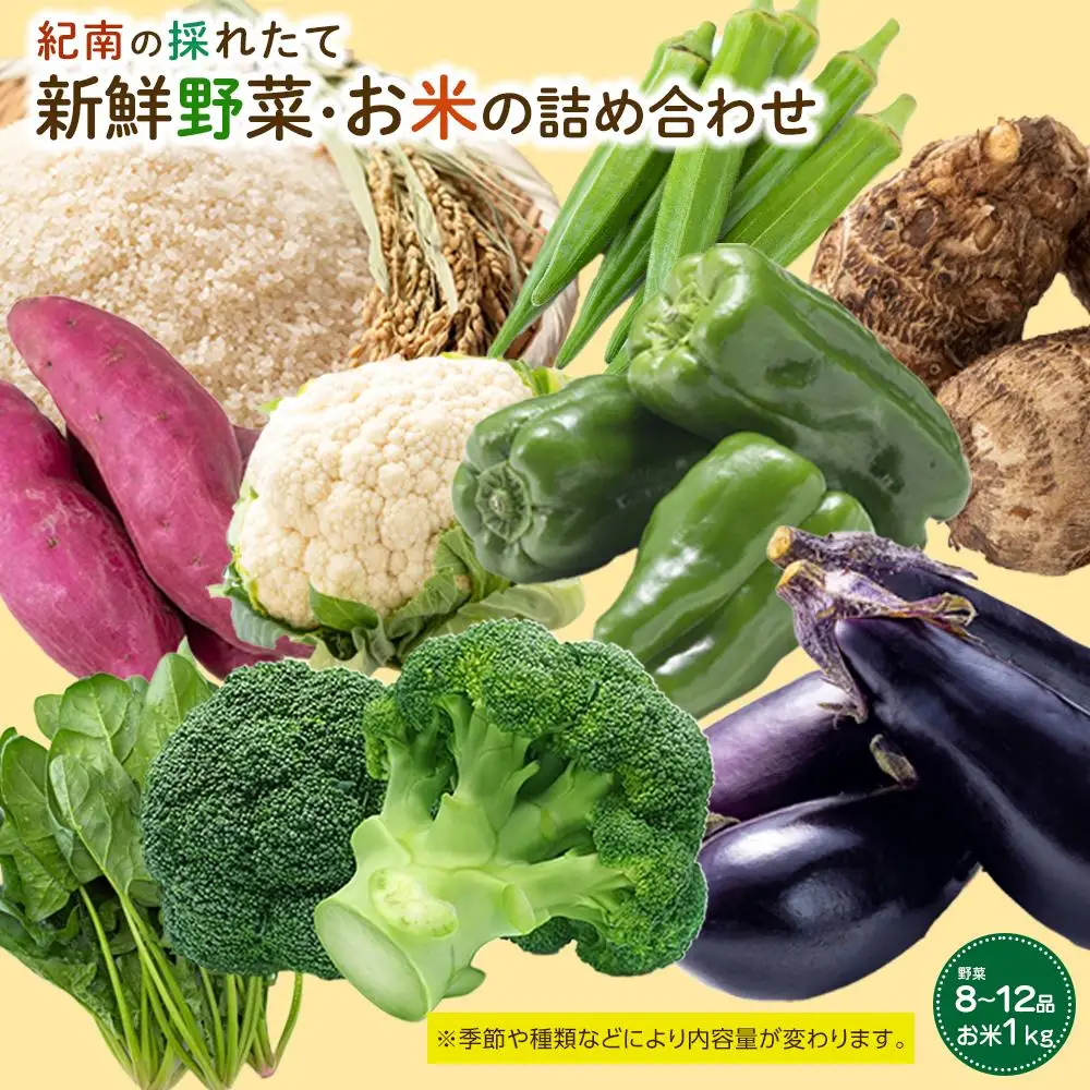 紀南の採れたて新鮮野菜・お米詰め合わせセット（8～12品目詰め合わせ）