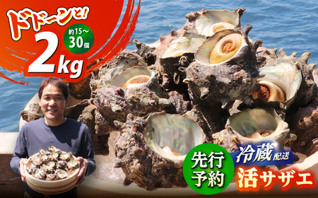 先行予約 2026年6月発送 サザエ 天然 活サザエ 2kg 15～30個 朝獲れ BBQ小浜市 / 桝屋商店【配送不可地域：北海道・沖縄・離島】 [BFAO015] 