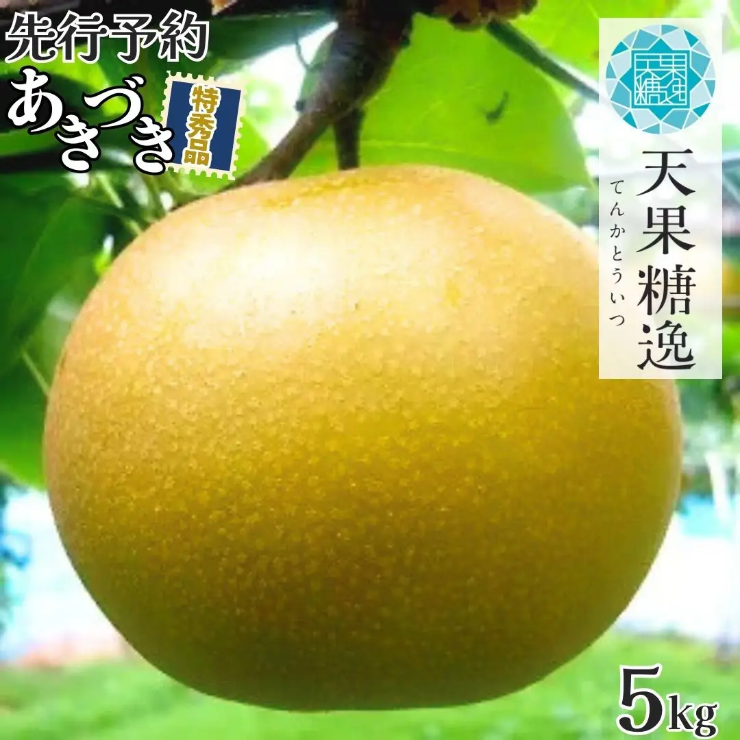先行予約 梨 あきづき 特秀品 5kg程度 糖度13度以上を厳選 令和8年 新潟県産 天果糖逸 秋月 JAえちご中越