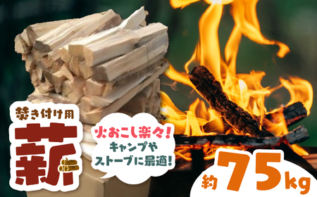 信州伊那谷産　松の薪　（焚き付け用）1箱　4束入り　２５ｋｇ相当×３箱｜松の薪 焚き付け 長野県 伊那市 キャンプ BBQ アウトドア【024-14】 