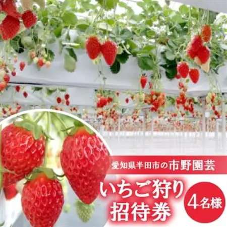 【愛知県半田市の市野園芸】いちご狩り招待券4名様【1402966】