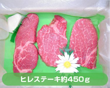 上州牛ヒレステーキ３枚入り（約450ｇ） ANP001