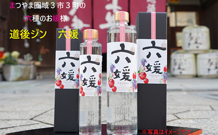 水口酒造 道後ジン「六媛」200ml　クラフトジン スピリッツ 愛媛 お酒 晩酌 家飲み 宅飲み 愛媛県産素材 ボタニカル フレッシュ 華やかな香り 香ばしい香り キレ のかな甘み 