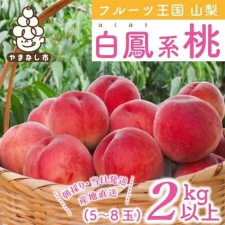 2026年発送　山梨県産 桃 白鳳系 2kg以上(5～8玉) フルーツ王国・山梨から産地直送【配送不可地域：離島・沖縄県】【1137260】