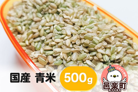 【国産】青米 500g×1袋 サイトウ・コーポレーション 飼料