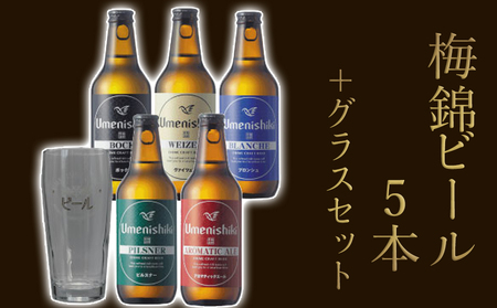 梅錦ビール　5本＋グラスセット