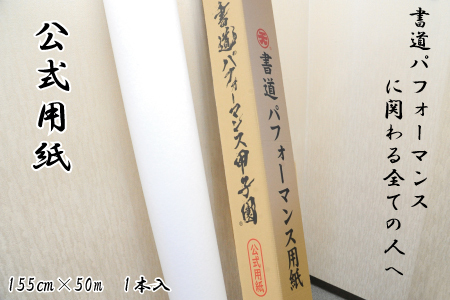 書道パフォーマンス用紙