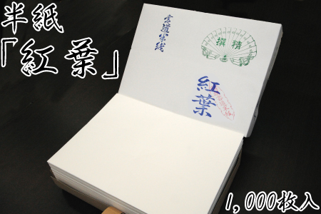 たくさん練習！たっぷり半紙