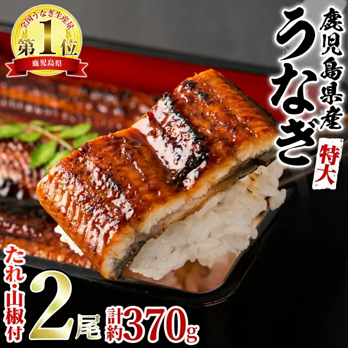 ＜特大＞うなぎ蒲焼き(無頭)(2尾・計約370g・タレ、山椒付)うなぎ 高級 ウナギ 鰻 国産 蒲焼 蒲焼き たれ 鹿児島 ふるさと 人気【アクアおおすみ】【0144360a】