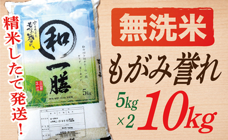 【令和7年産】【無洗米】山形県産もがみ誉れ10kg