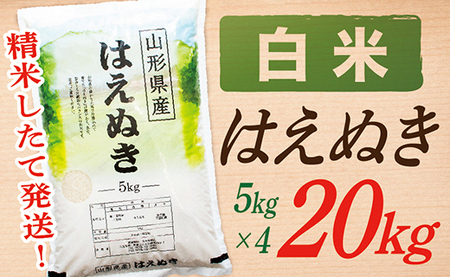 【令和7年産】【白米】山形県産はえぬき20kg