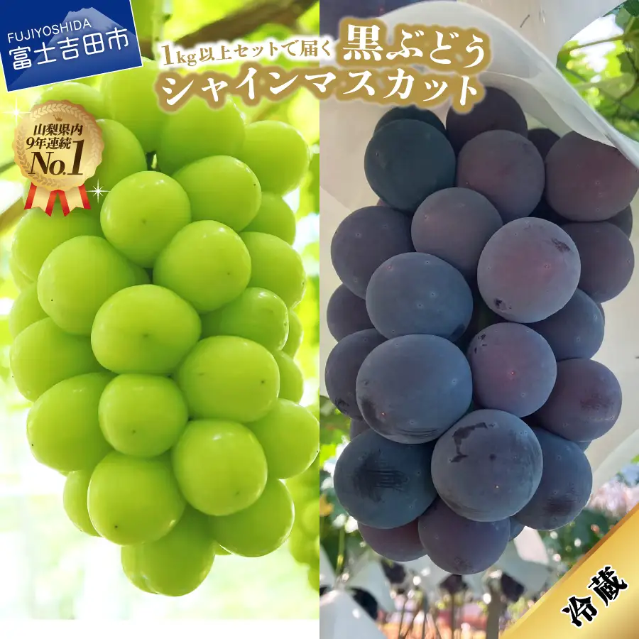 シャインマスカット 黒ぶどうセット (1kg以上) 【2026年発送】 葡萄 シャイン フルーツセット