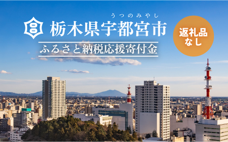 栃木県宇都宮市への寄付　5,000円（返礼品はありません）