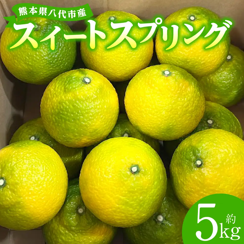 【先行予約】スイートスプリング 約5kg 柑橘 【2026年12月上旬より順次発送】