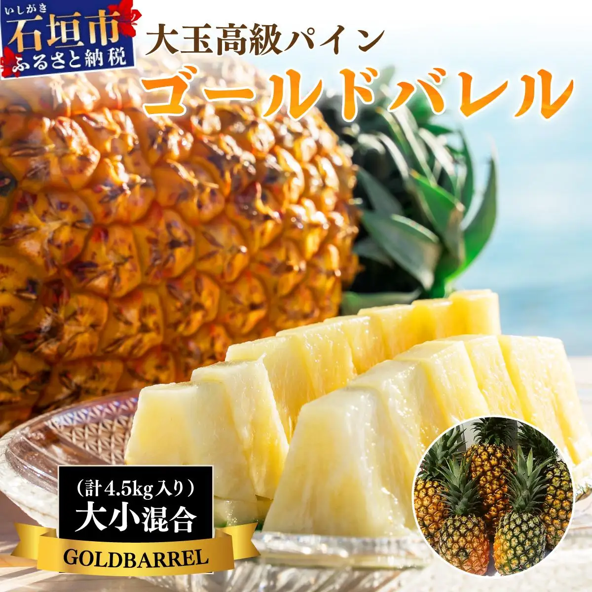 ＜先行予約＞【訳あり】石垣島産 ゴールドバレルパイン 大小混合セット 約4.5kg 　SI-7-1
