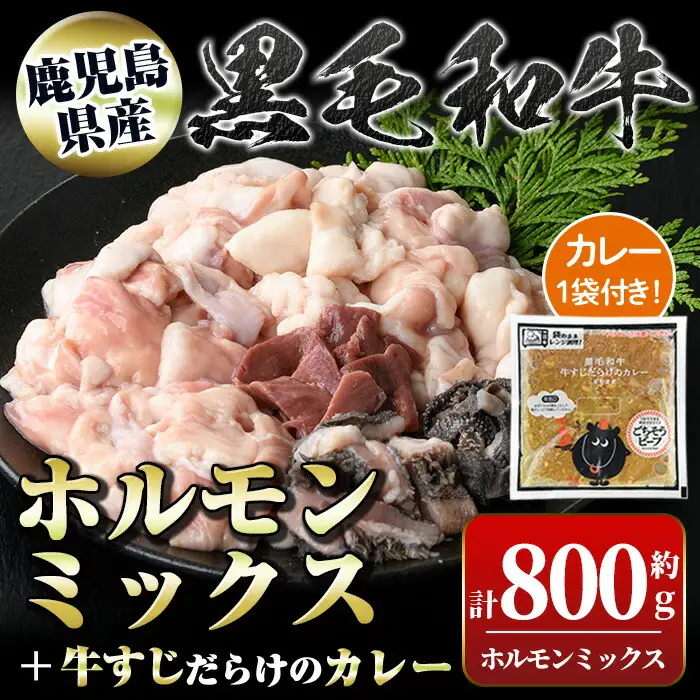 【A91031】黒毛和牛ホルモンミックス(計800g)＋黒毛和牛牛すじだらけのカレー(1袋)セット！ 鹿児島 国産 牛肉 黒毛和牛 牛肉専門店 和牛日本一 惣菜 おかず 牛すじ ホルモン ミックス レトルトカレー ご当地カレー【新村畜産】