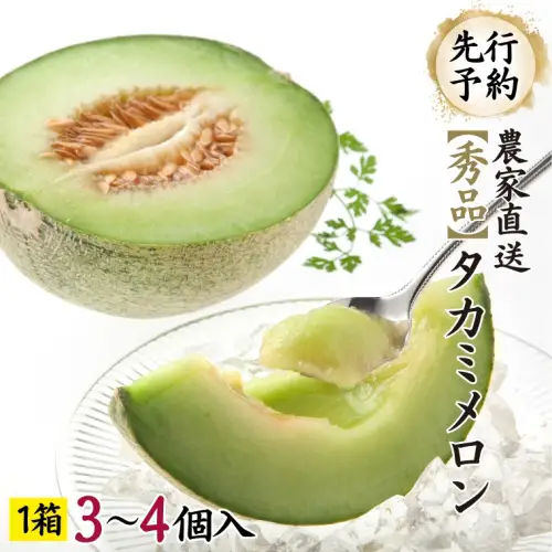 【先行予約】メロン タカミメロン 秀品 1箱 3～4玉 八千代町産