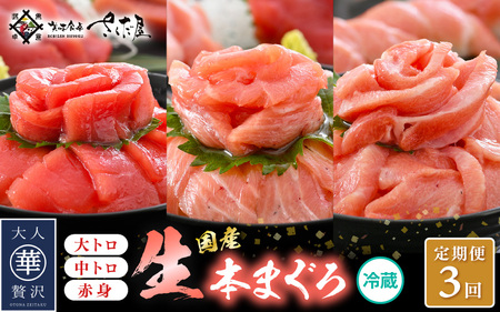 定期便≪3ヶ月連続お届け≫おすすめ！まぐろの王様！生本まぐろ 食べ比べ 定期便 計3回 【 大とろ 中トロ 赤身 刺身 冷蔵 お取り寄せ グルメ】[e04-b028]