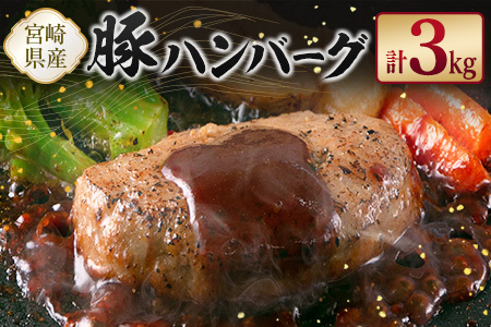 宮崎県産豚ハンバーグ 計3kg【B612】