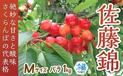 【令和8年産予約】さくらんぼ「佐藤錦」Mサイズ バラ1kg