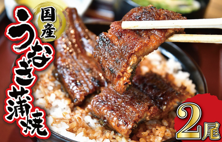 うなぎ 2尾(タレ4本) かば焼きうなぎ