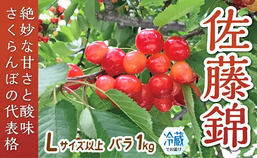 【令和8年産予約】さくらんぼ「佐藤錦」Lサイズ以上 バラ1kg