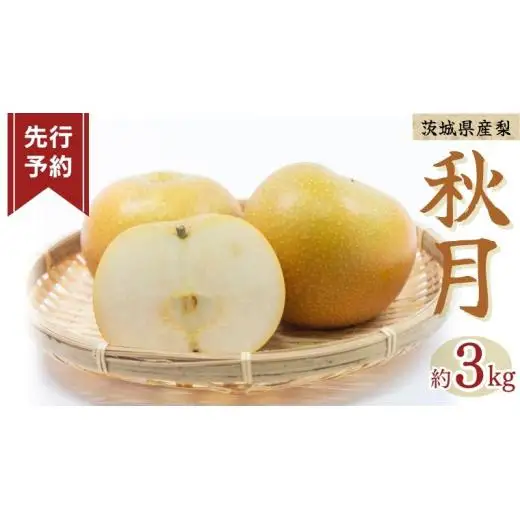 《 先行予約 》秋月 6～12玉 ( 約3kg ) 【 2026年8月下旬発送開始】