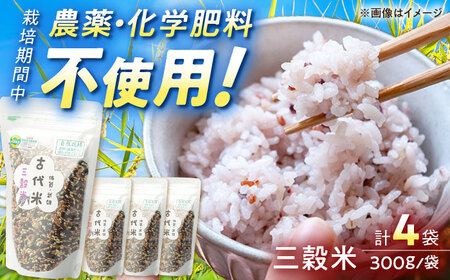 雑穀 古代米 三穀米 1.2kg /永尾 忠則 [UAS008] 雑穀米