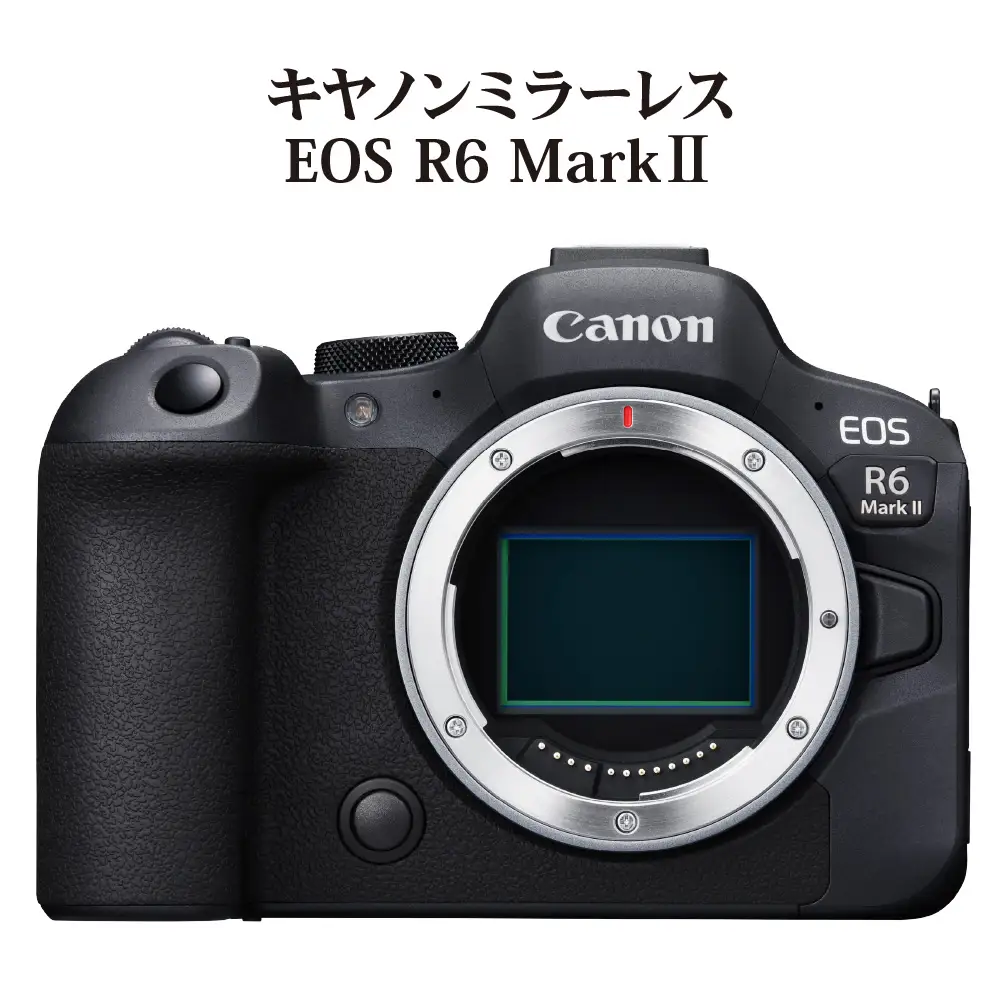 キヤノンミラーレスカメラ EOS R6 Mark Ⅱ Canon カメラ R14150