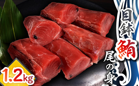 目鉢鮪 「 尾の身 」（  皮 ・ 骨なし  ） M081-003 冷凍 マグロ