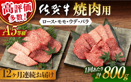 【定期便】 牛肉 佐賀牛 焼肉用 A5 総計9.6kg NAB231 牛肉 全12回