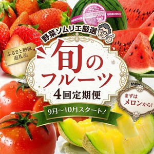 【 野菜ソムリエ 厳選 】 旬 の フルーツ 定期便 ( アールスメロン スタート ) 4回