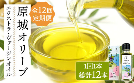 【12回定期便】 原城 オリーブ エクストラ・ヴァージンオイル  100ml 1本 / オリーブオイル オイル 油 調味料 / 南島原市 / ミナサポ [SCW056]