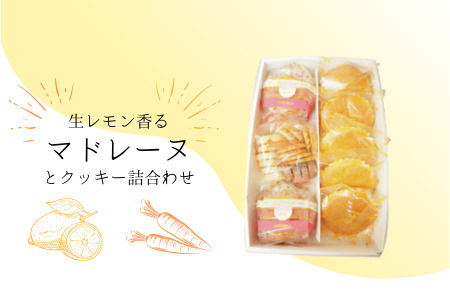 生レモン香るマドレーヌ（5個）＆クッキー2種（10枚＋1袋）詰め合わせ