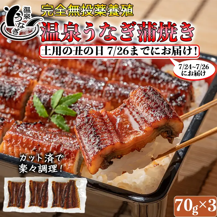 土用の丑 までに(7/24～7/26)お届け 完全無投薬養殖 温泉うなぎ蒲焼 (カット) 70g×3【大分水産】 国産 うなぎ 丑の日 土用の丑の日 鰻 ＜104-058＞