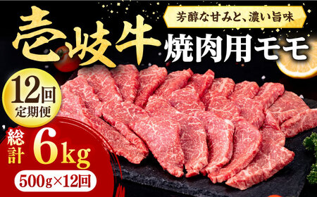 【全12回定期便】 壱岐牛 焼肉用 モモ 500g《壱岐市》【株式会社イチヤマ】 肉 牛肉 焼肉 もも BBQ [JFE081] 288000 288000円