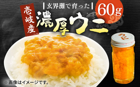 壱岐産 濃厚 ウニ60g《壱岐市》【合同会社塚元】ムラサキウニ [JDR021]