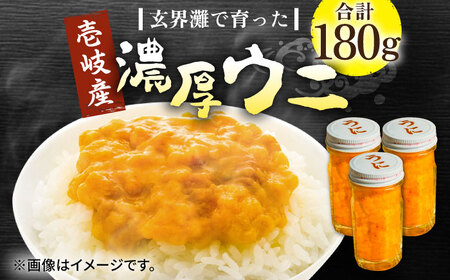 【お中元】壱岐産 濃厚 ウニ 60g ×3本《壱岐市》【合同会社塚元】ムラサキウニ [JDR023]