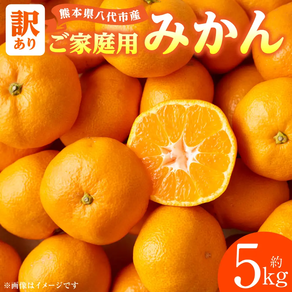 【先行予約】【訳あり】熊本県八代市産 ご家庭用みかん 約5kg ミカン【2026年9月下旬より順次発送】