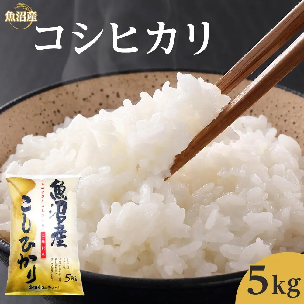 令和７年産魚沼産コシヒカリ　5kg　ご入金確認後～7日程で発送致します。｜新潟県　魚沼　こしひかり　令和7年産